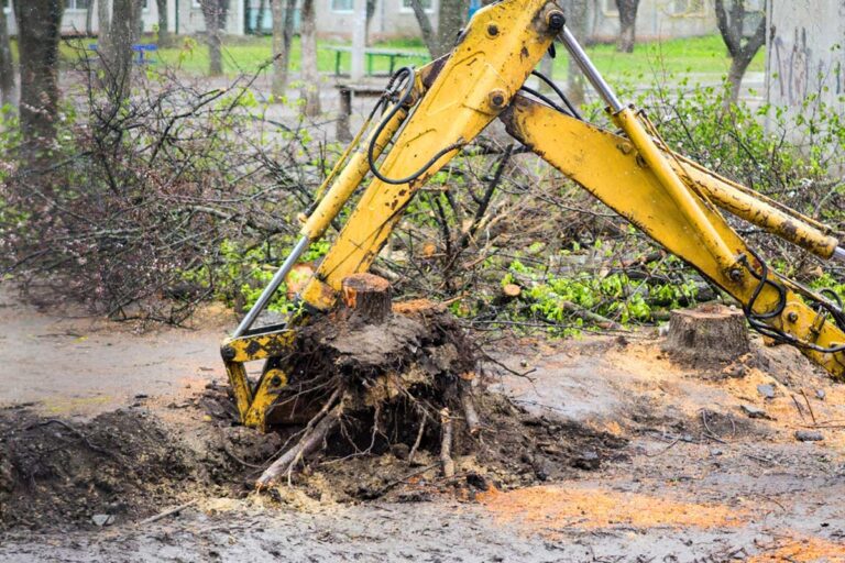 How to Kill a Tree Without Cutting It Down