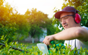 Professional Tree Trimming Techniques