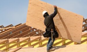 How Much Weight Can Plywood Hold? A Complete Guide