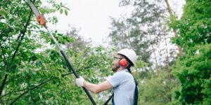 Do It Yourself Tree Trimming?