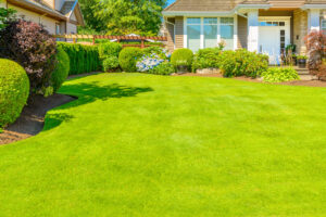 Guide Topdressing Lawn Grass