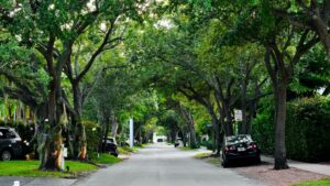 Best Trees for Sidewalks