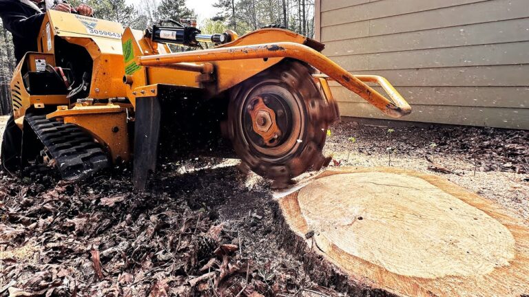 Tree Stumps Removal From Property