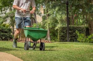 How To Fertilize A Lawn