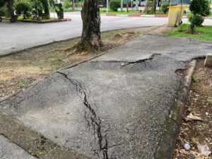 Sidewalk Damaged by Tree Roots