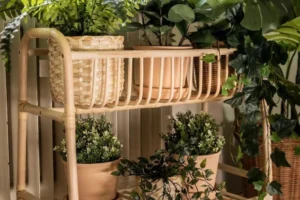 Indoor Plant Stands: A Complete Guide for the US Market