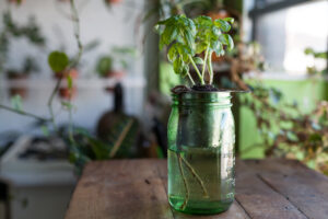 How to Build Your Own Self-Watering Planter