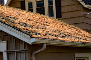 3 Serious Problems That Can Arise from Leaving Leaves on Your Roof