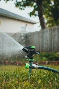 Tips to Drought-Proof Your Lawn