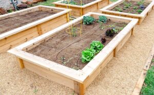 How to Build a Raised Garden Bed?