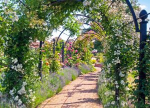 How to Build a DIY Garden Arch