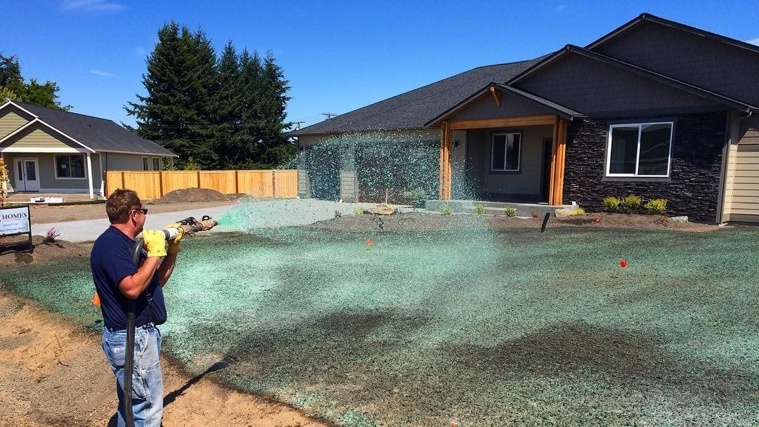 Should You Consider Hydroseeding For Your Lawn - Treeier