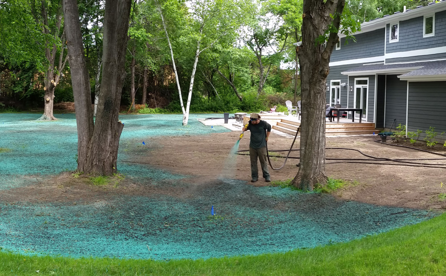 Should You Consider Hydroseeding For Your Lawn - Treeier