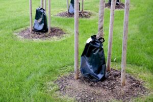 Tree Watering Bag