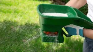 How To Fertilize A Lawn