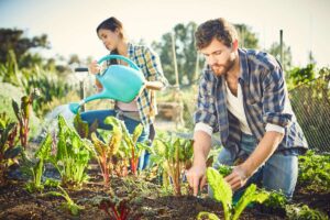 Friends gardening on in organic farm