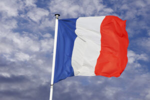 Tree Removal & Tree Protection Laws France