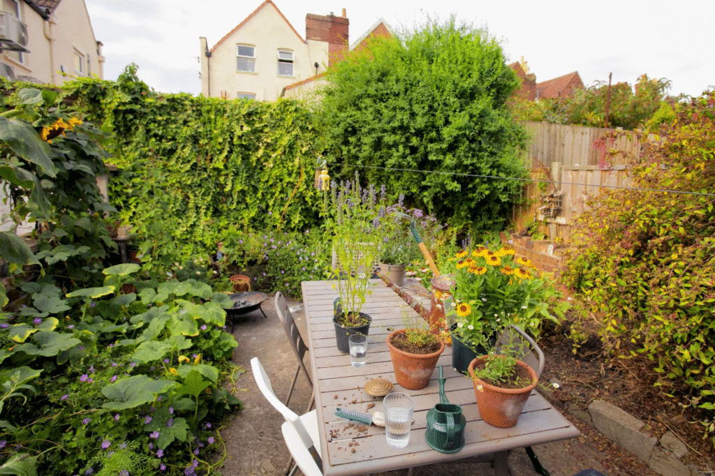 image 1007