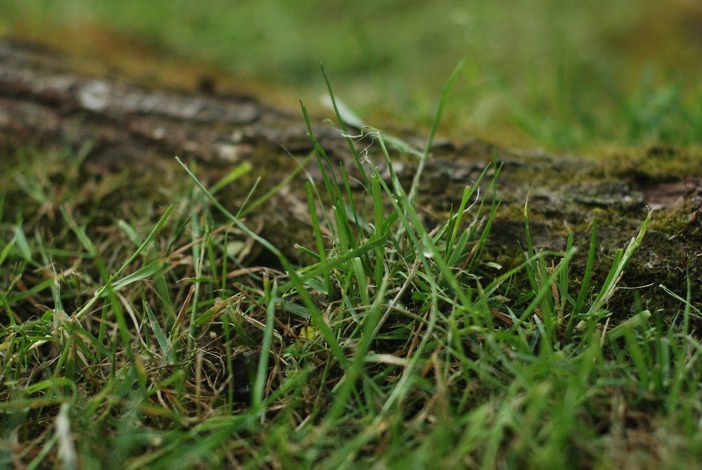 image 993