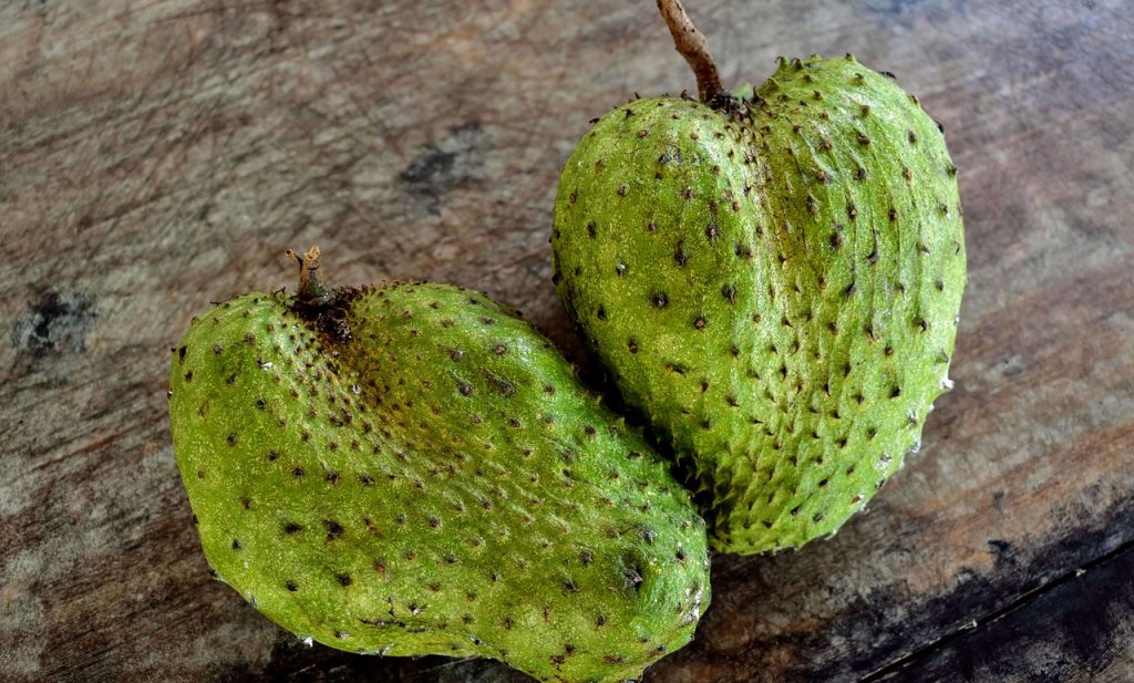 soursop g1d1b99de6 1280 1024 617 84 c1