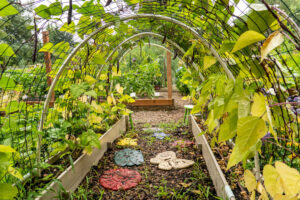 The best garden arches ideas