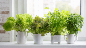 Indoor Herb Garden Image 1 1160x653 1
