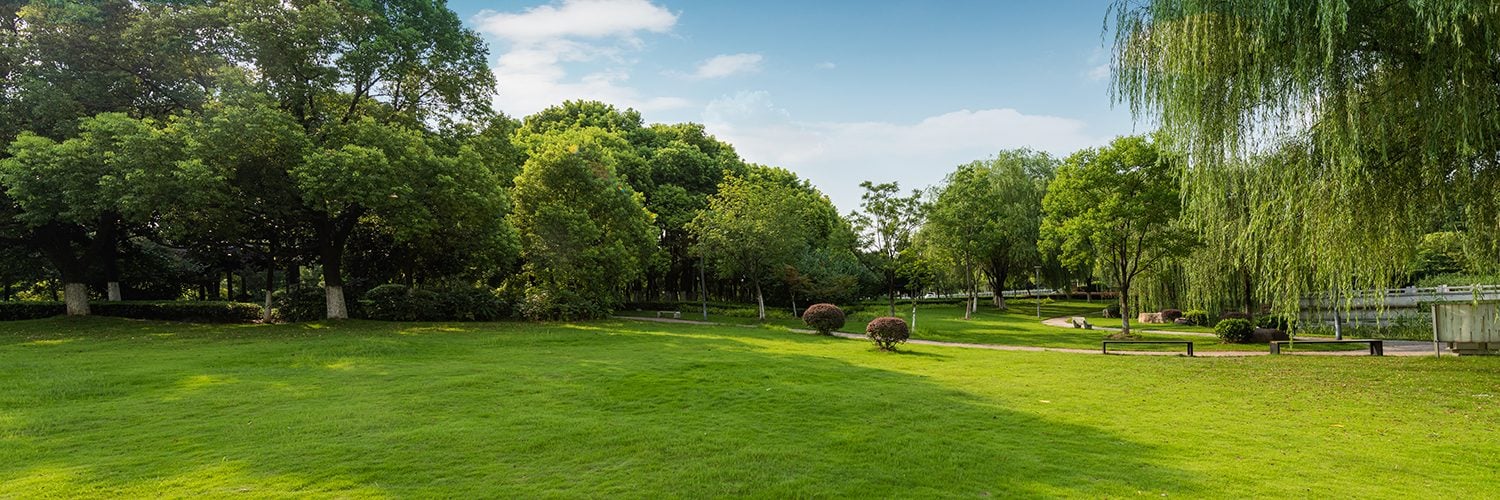 Lawn Lords Lobby Page GettyImages 1770690443 copy