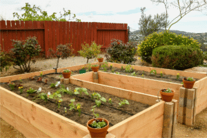 Raised Cedar Garden Beds 33648