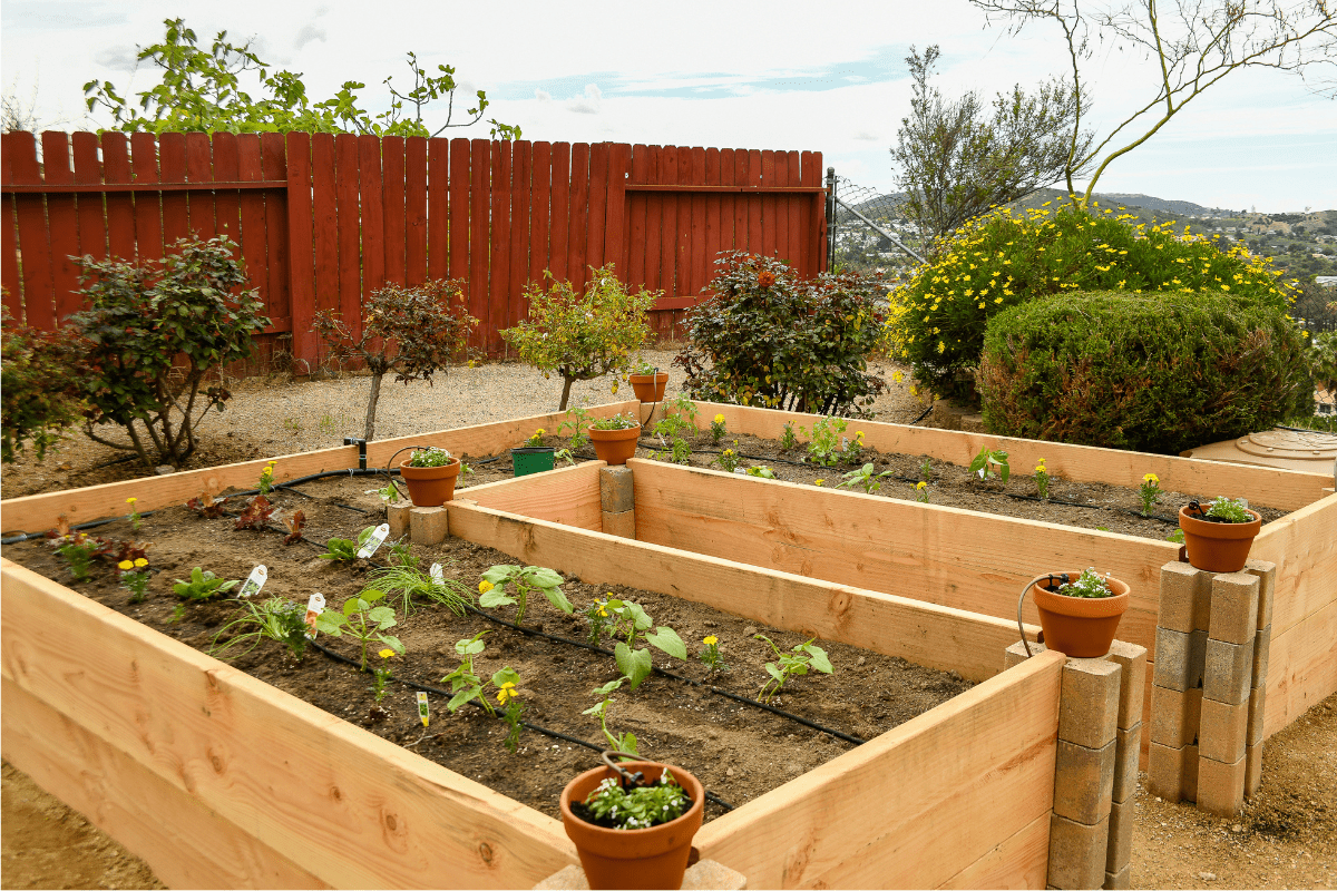 Raised Cedar Garden Beds 33648