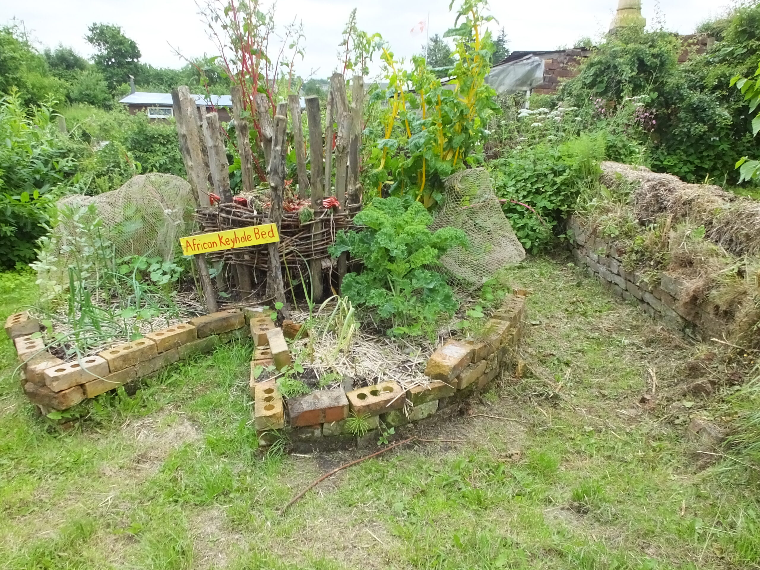 St Anns Community Orchard African keyhole bed 1304 scaled