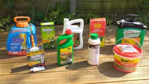 Best Lawn Weed Killer