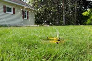 How Much Water Your Grass Needs