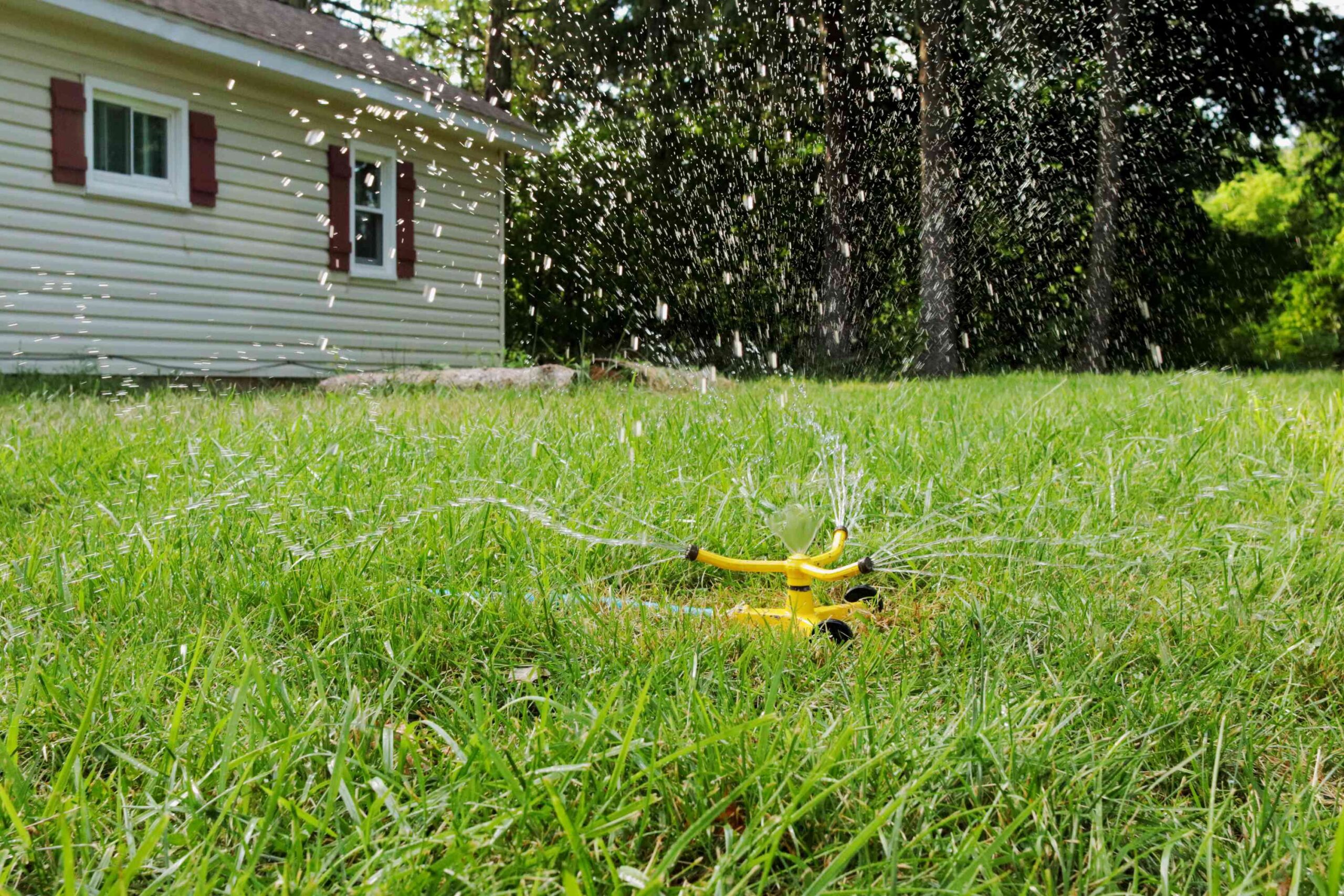 how long to water lawn 5217294 hero 4cd319041c2b4c9abd5b55755877e329 scaled