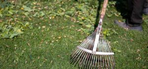 Best Dethatching Rake for Lawn
