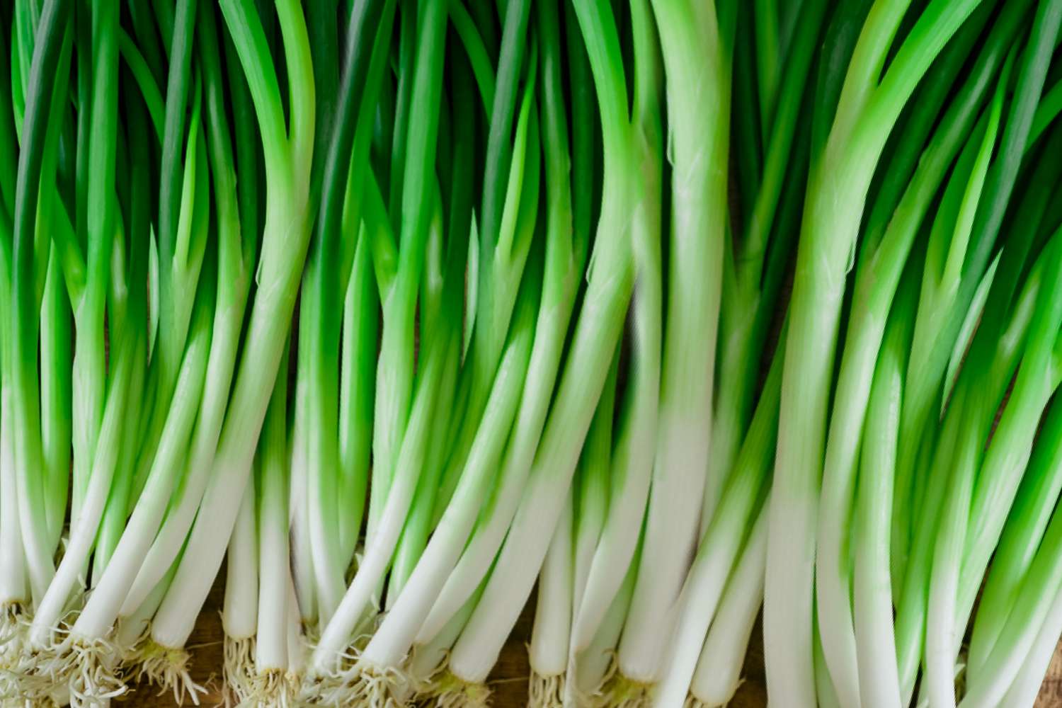 how to grow scallions 4125799 06 dba124a208ea4be29caefa1ca7bf8cb7