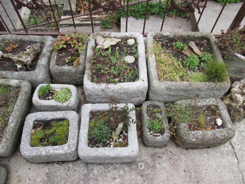 image 313