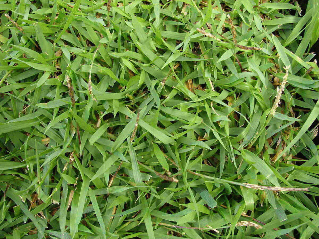 image 89