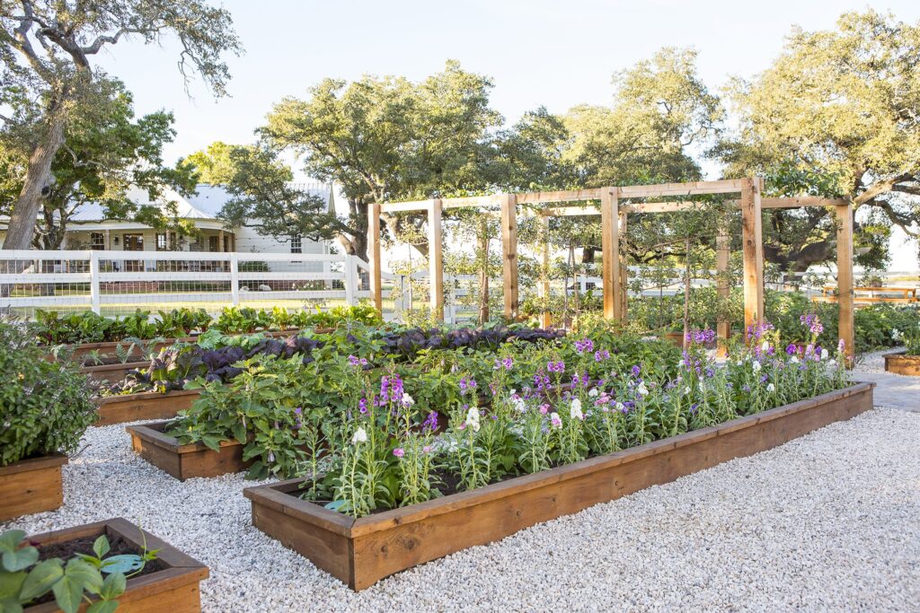 joanna gaines garden flowers plants 1518622985