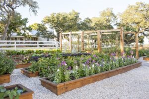 Joanna Gaines Garden