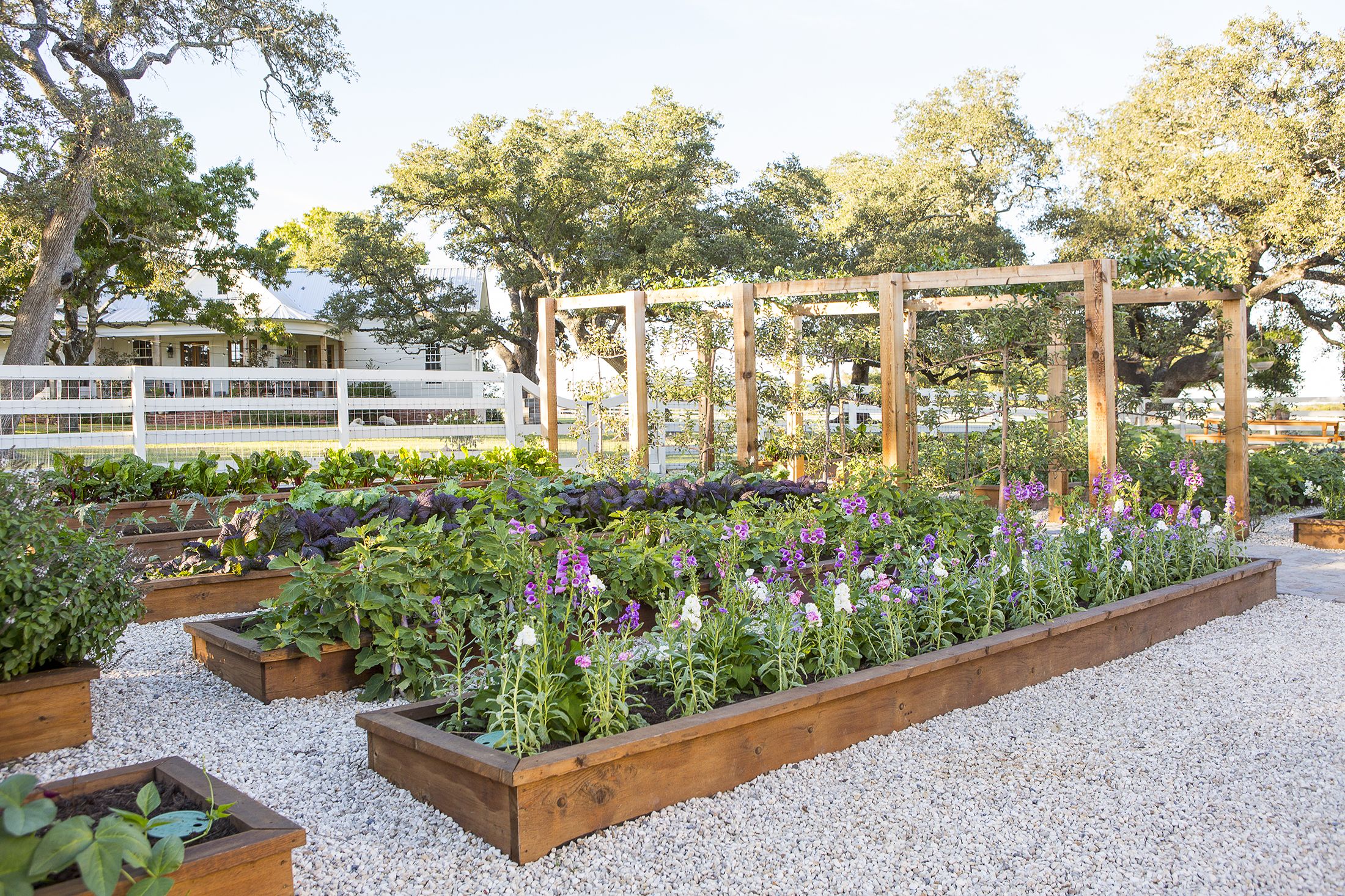 joanna gaines garden flowers plants 1518622985