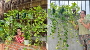 How to Upgrade My Garden Homemendous