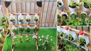 DIY Vertical Garden