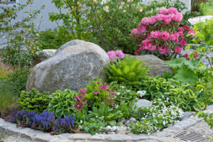 Modern Rock Garden Ideas