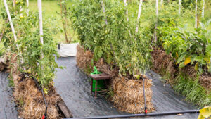 straw bale2