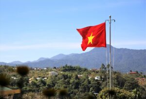 Tree Removal Vietnam : Laws, Permit, Application & Cost